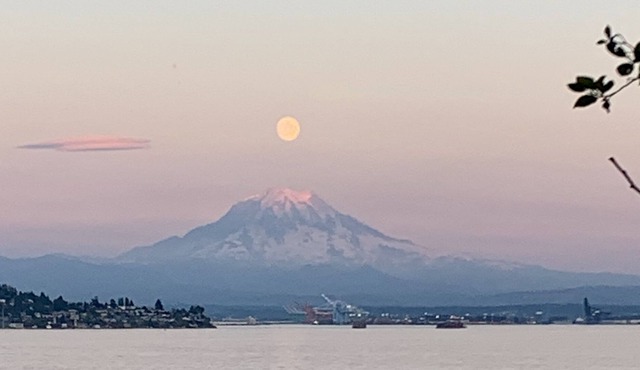The authentic PNW waterfront yurt glamping experience!