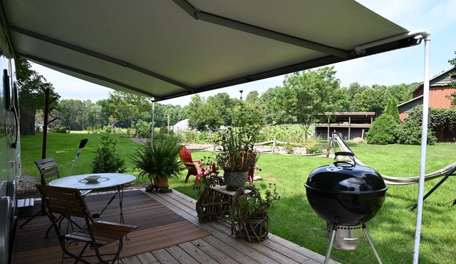 The Avia at Scottland Yard Farm