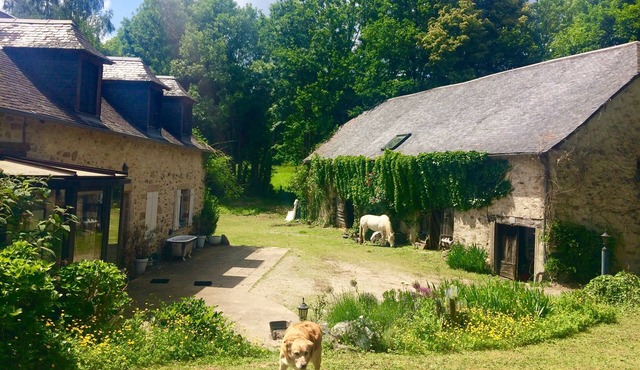 The beylie, Typical set of Limousin