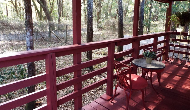 The Back Porch - The Florida Green-way from the comfort of the porch.