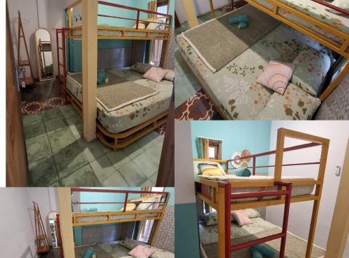 The Backyard Hostel