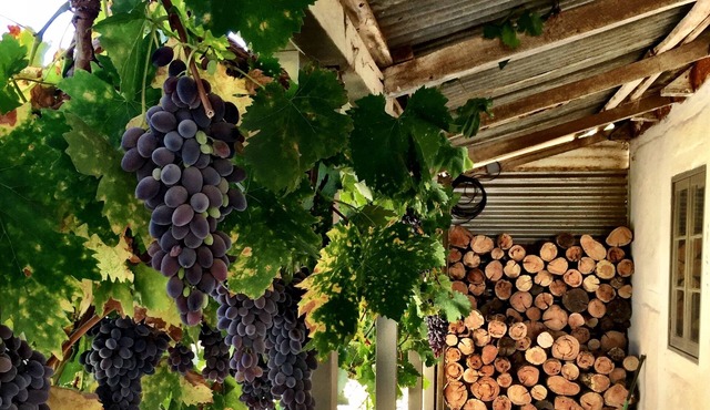 The Barn - a little bit rustic, a little bit luxe