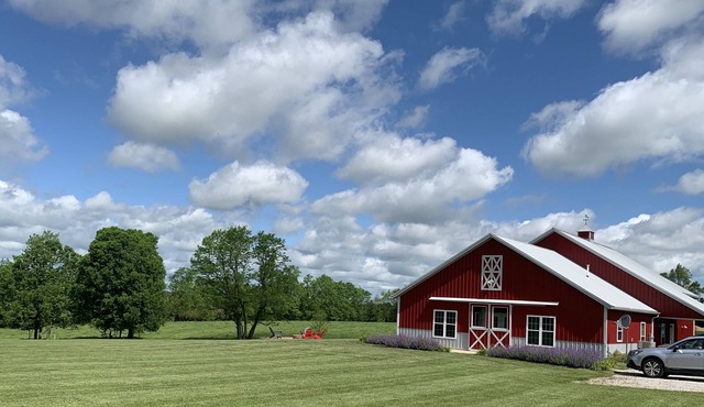 The Barn at Deva's Farm: Haute Blue Grass - Chill Retreat in the countryside