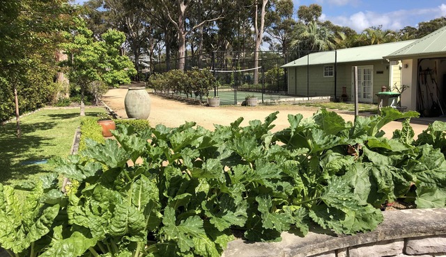 "The Barn House", Pet Friendly, Tennis/Pickle Ball Court