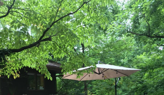 The Baumhaus (Treehouse)