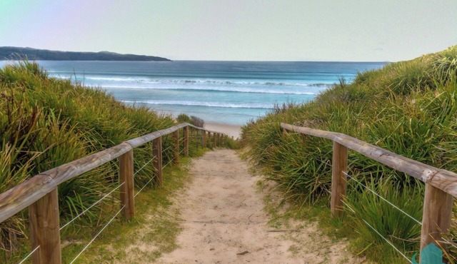 The Beach Shack - across from beach, dog friendly