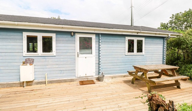 THE BEACH SHACK, pet friendly, with open fire in Llansteffan