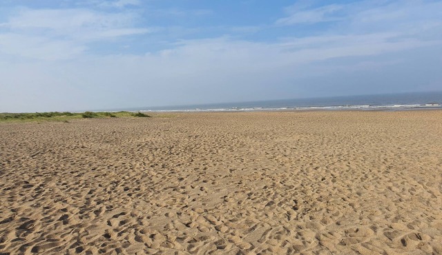 The Beaches, 23 Trusthorpe Road