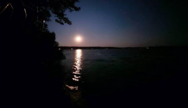 The Beahive Resort. Unit #2 Lakefront on lake Alex