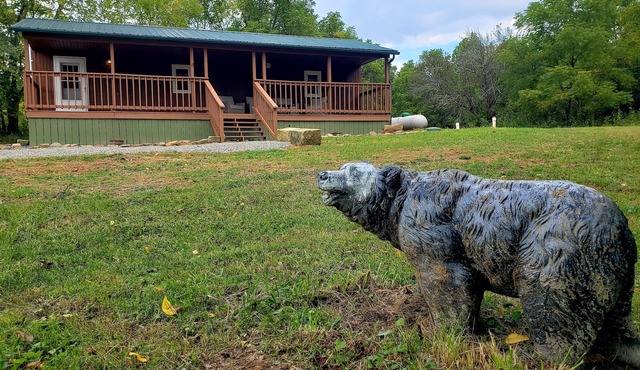 The Bear Den Cabin with pond view.