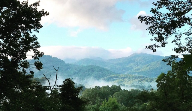 THE BEAR DEN - Franklin's Most Beautiful Mountain View