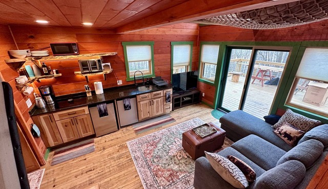 The Beary Cozy Treehouse