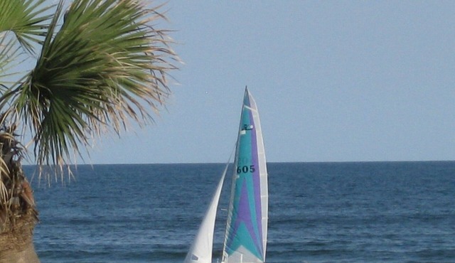 The Beautiful Gulf of Mexico Steps from the Front Door