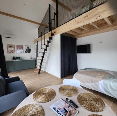 THE BEDROOM - proche aeroport Lyon, groupama stadium, ldlc arena, eurexpo, viaRhôna