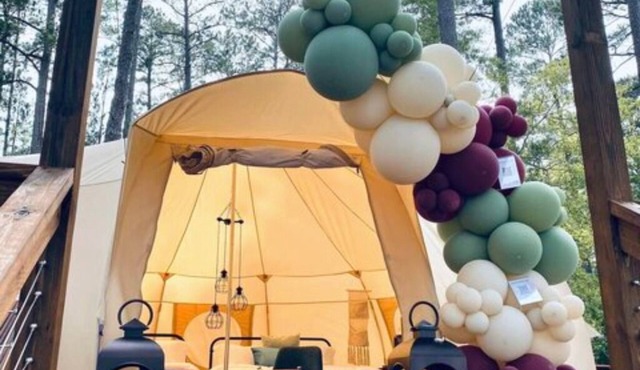 The Bee's Knees (Tent)
