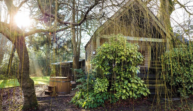 The Beech Hut, A Romantic Wooden Cottage for 2, near Port Isaac