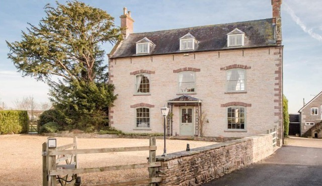 The Bell and Flamingo