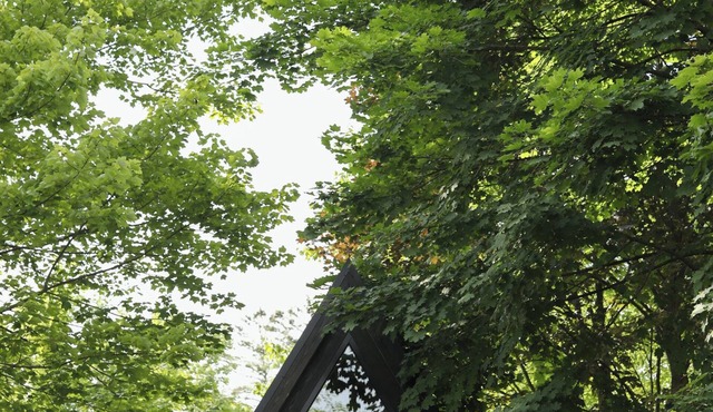 The Bellefonte Campground presents: The Cozy Cottage | 1 Bedroom with Sauna