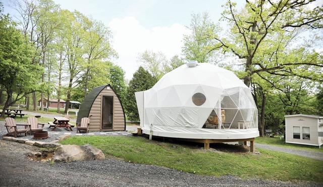 The Bellefonte Campground presents: The Yurt with sauna I 1 Bedroom Yurt experience