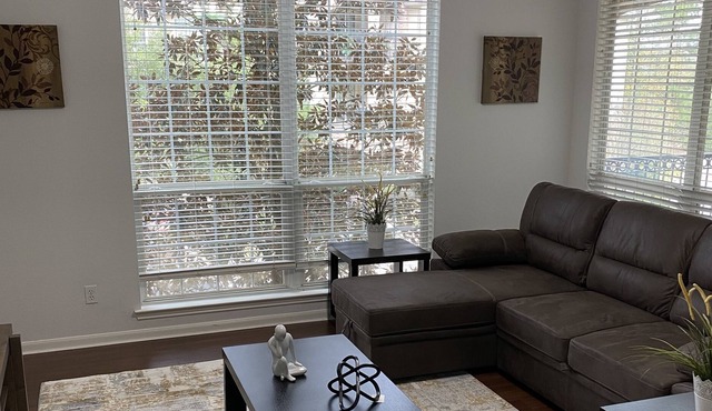 The Best apartment location in the Woodlands for 6 people