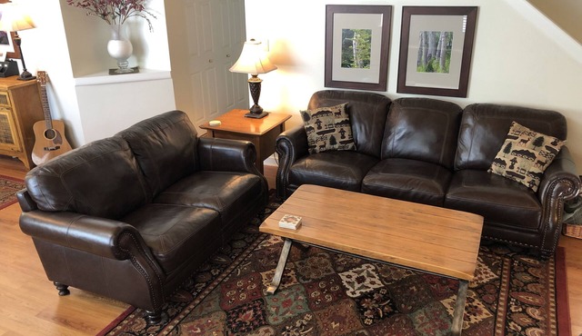 The BEST Deal! Spacious Well Appointed Condo with Private Hot Tub