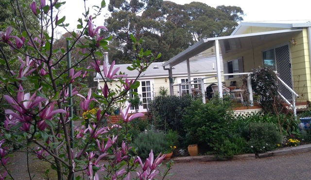 The Best Exotic Magnolia Cottage