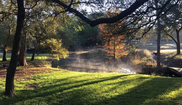 ⭐️ ⭐️ The Best of Both Worlds—Great Location for Austin & Hill Country ⭐️ ⭐️