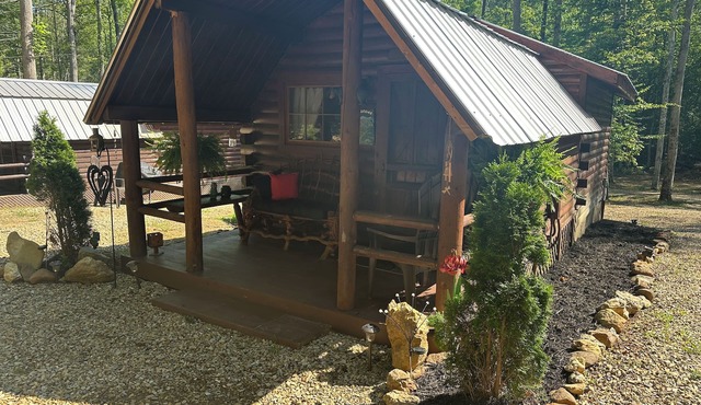 The Big Bear Cabin! Perfect getaway in the Smokey Mountains!
