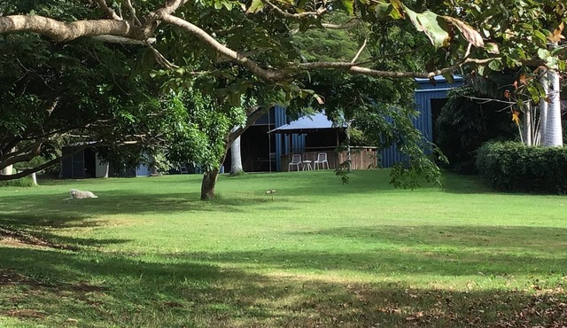 The Big Blue Barn - Spacious, Private and Relaxed.