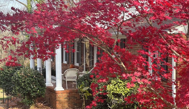 “The Big Friendly” Spacious 6-bedroom house in amazing Greensboro!