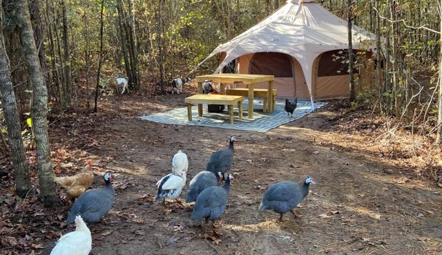 The Big Top Lg group GLAMP Farmstay