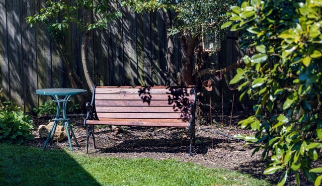 The birch bed and breakfast