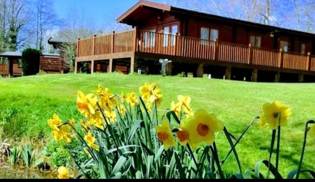 The Birches Log Cabin & Hot Tub