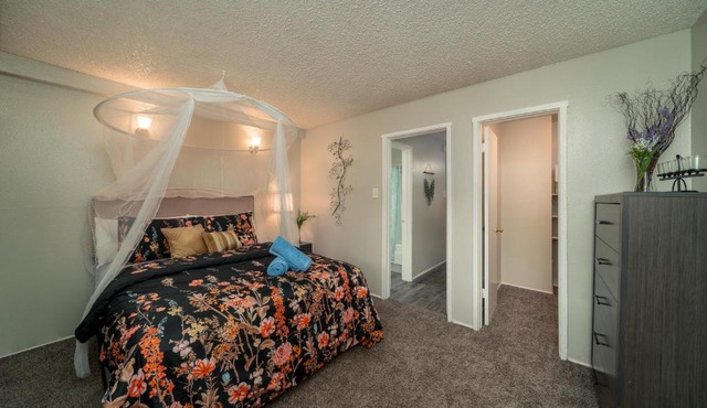 The Bird's Nest Colorado - 1/1 fully furnished