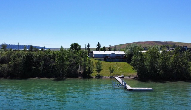 The Bison on Flathead Lake