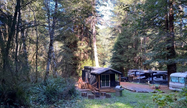 The Black Bear Cabin - 2 bedrooms in the redwoods