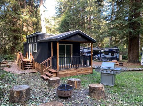 The Black Bear Cabin