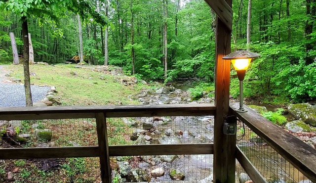 The Black Bear Lodge