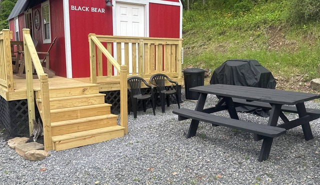 The Black Bear