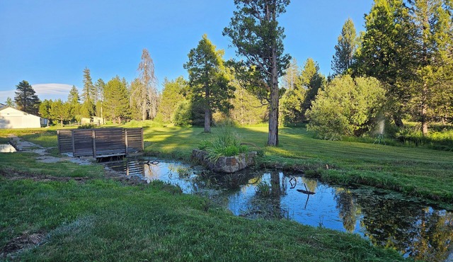 The Black Forest Lodge