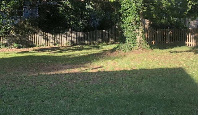 The Black Pot - Free parking