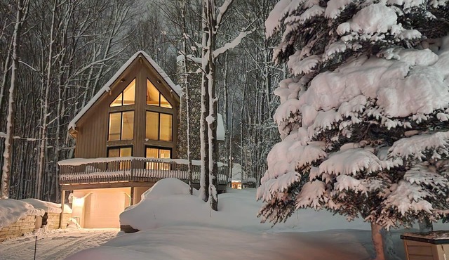 The Black & Tan Chalet - modern comfort for your group near Nubs & Highlands