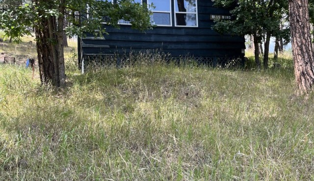 The Blue Bird Cabin