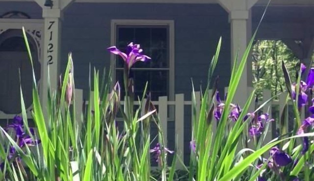 The Blue Cottage located in the woods on Lookout Mountain in Rising Fawn GA