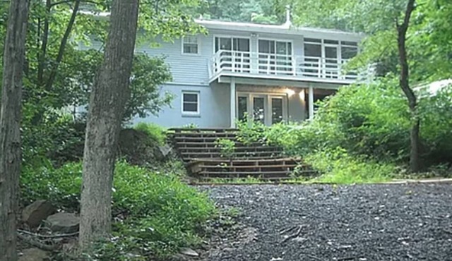 The Blue Dove