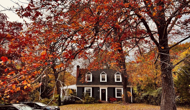 The Blue House, a 4-bedroom house in beautiful Lynchburg central location