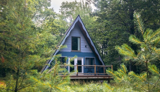 The Blue Jay A Frame