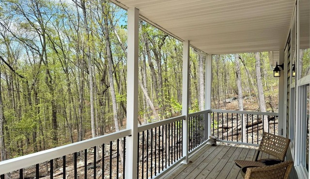The Blue Jay | New House in the Woods