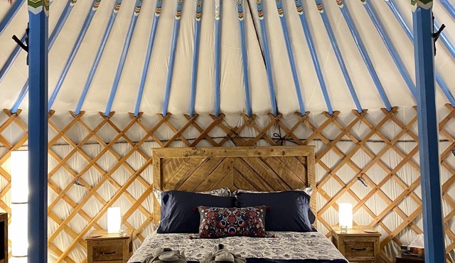 The Blue Jay Yurt- Our Pet Friendly Yurt