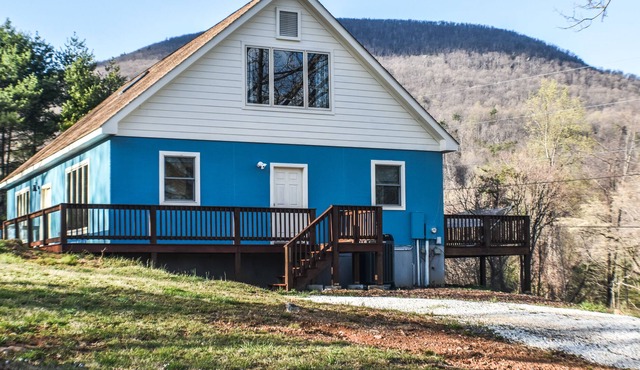The Blue Llama - Spacious Oasis off Brew Ridge Trail - Great for Groups & Pets